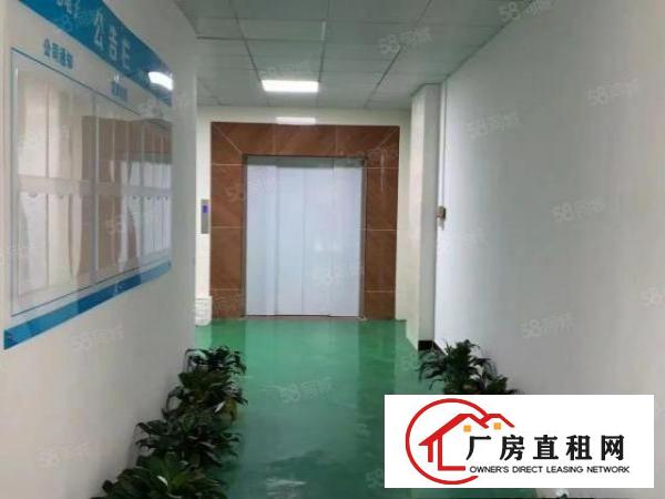  塘厦振兴围二楼厂房898平方，豪华装修，行业不限