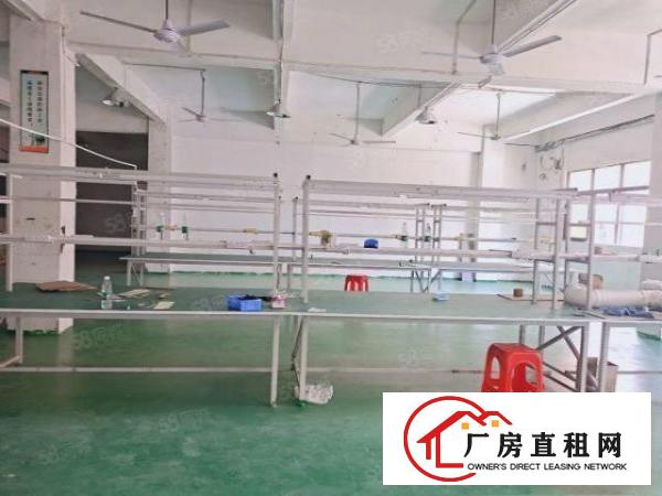  塘厦138工业区标准2楼680平方！现成装修！实拍图片和视频