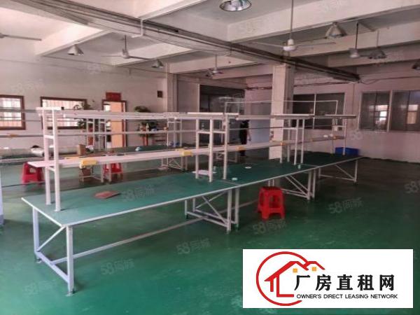  塘厦138工业区标准2楼680平方！现成装修！实拍图片和视频