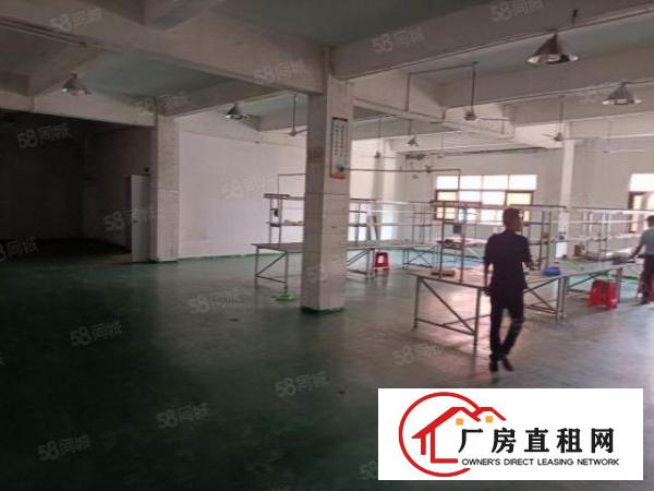  塘厦138工业区标准2楼680平方！现成装修！实拍图片和视频