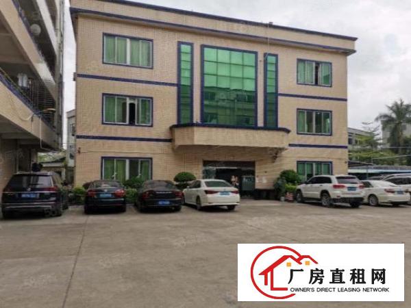  塘厦138工业区标准2楼680平方！现成装修！实拍图片和视频
