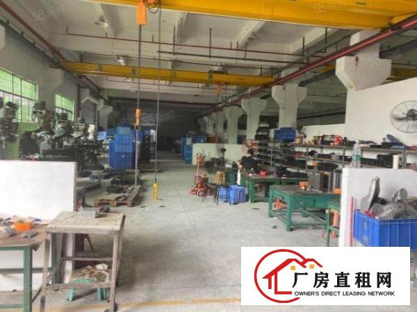  塘厦靠近深圳独院厂房11000招租，园区空地大，电力充足