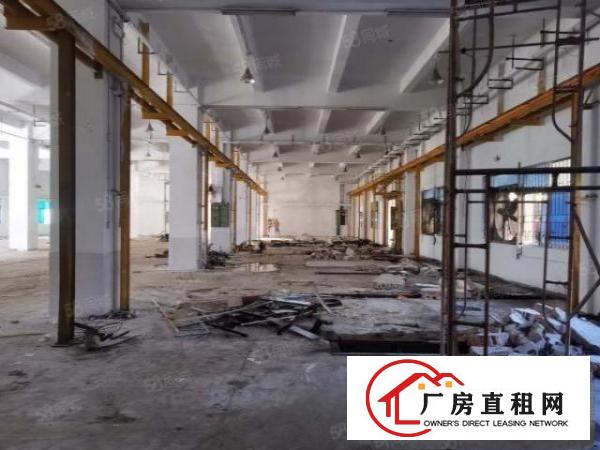  塘厦138工业区独院单一层标准厂房7000平方米7米高空地大