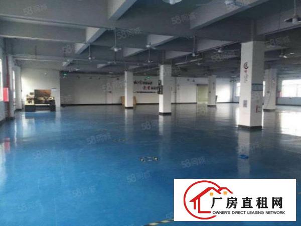  塘厦桥陇独院标准3楼800平方！双面采光明亮！干净整洁