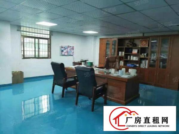  塘厦桥陇独院标准3楼800平方！双面采光明亮！干净整洁
