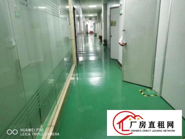  塘厦大坪高速出口科苑城原房东红本厂房12000平厂房出租