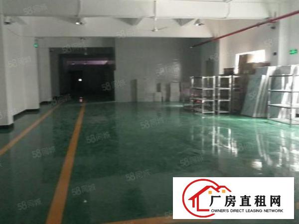  塘厦科苑城独院标准3楼750平方！水电齐全！办公室装修