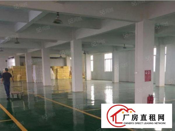  塘厦科苑城独院标准3楼750平方！水电齐全！办公室装修