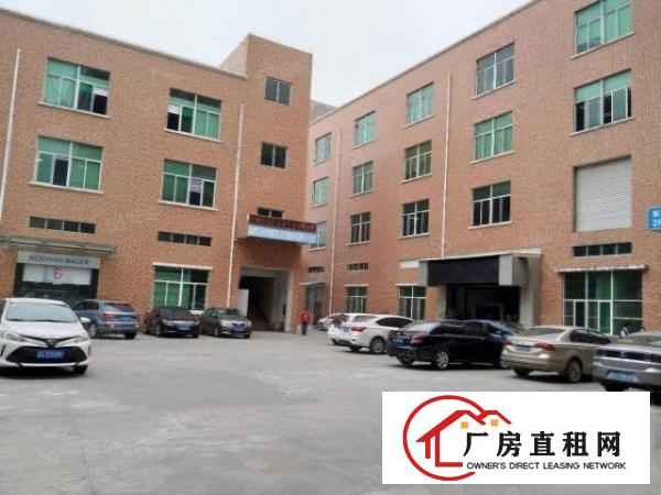  塘厦科苑城独院标准3楼750平方！水电齐全！办公室装修
