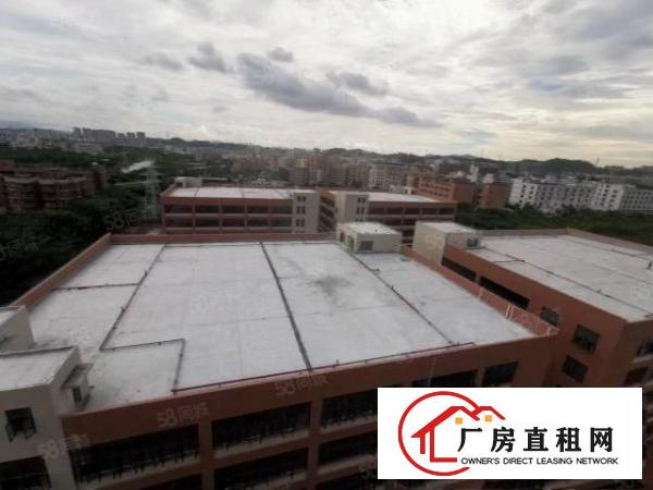  全新高标厂房每栋10800平米紧邻深圳实力企业