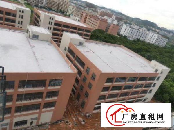  全新高标厂房每栋10800平米紧邻深圳实力企业