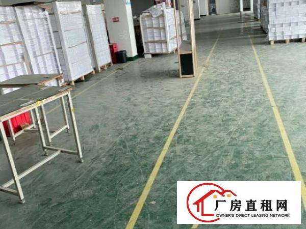  塘厦四村独院标准3楼1280平方！电子车间！干净整洁装修