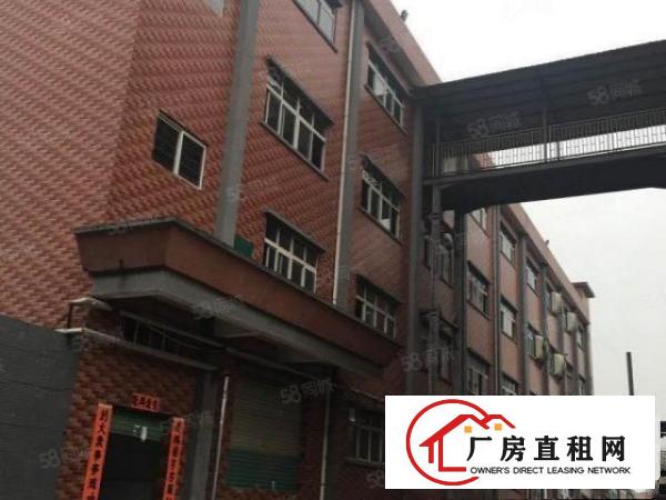  塘厦四村独院标准3楼1280平方！电子车间！干净整洁装修