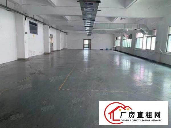  塘厦横塘独院标准3楼350平方！洁净车间！蹭亮地坪漆精装修
