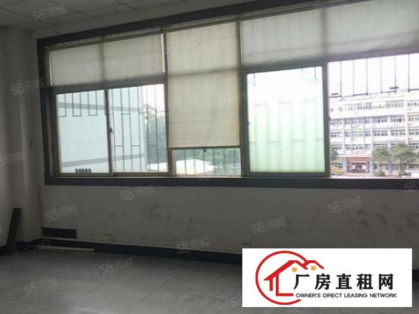  塘厦横塘独院标准3楼350平方！洁净车间！蹭亮地坪漆精装修