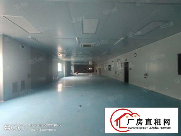 塘厦新出原房东一楼1500平，厂房带现成全新无尘车间，形象好