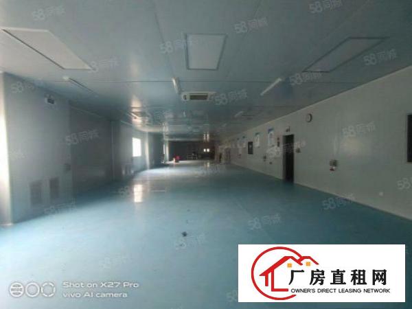  塘厦新出原房东一楼1500平，厂房带现成全新无尘车间，形象好