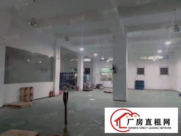  实际面积，标准1楼500平方!花园式厂房，现成主线办公室装修