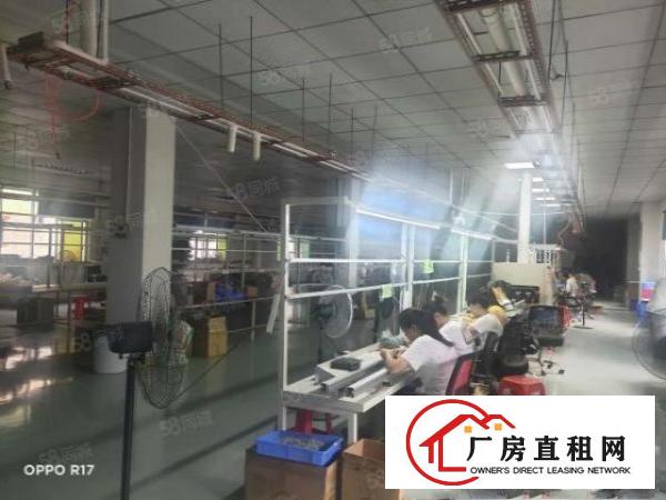  拎包入住无转让费塘厦镇清湖头新二楼1200平米厂房出租