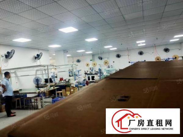  塘厦新出标准厂房一楼860平方，精装修办公室水电齐全价钱便宜