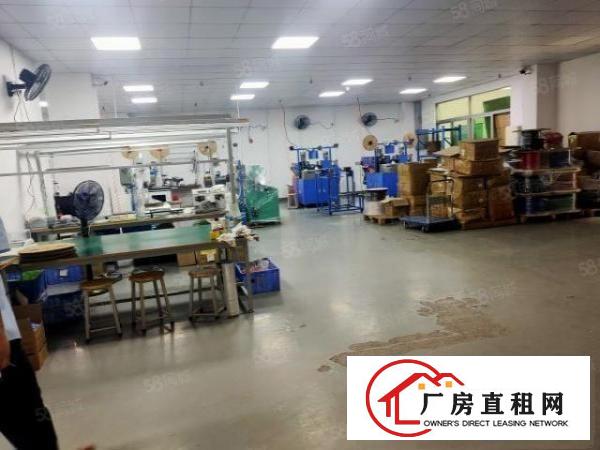  塘厦新出标准厂房一楼860平方，精装修办公室水电齐全价钱便宜