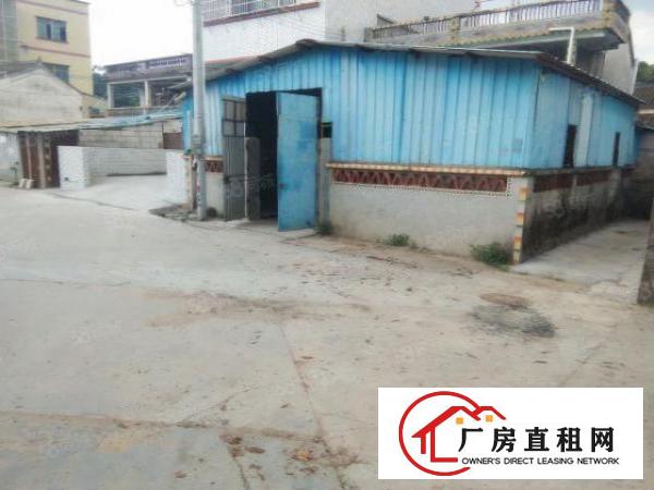  原图展示！本地房东经典独院小民房300平只要14元！民用水电