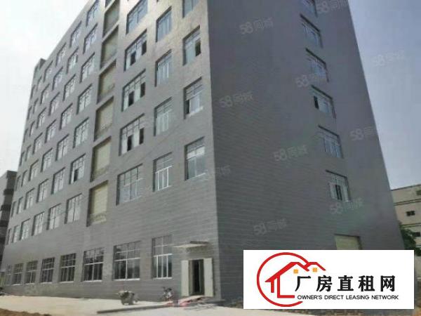  塘厦莲湖全新原房东厂房1000平方出租，可做电池仓库