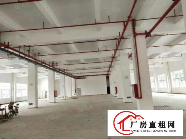  塘厦莲湖全新原房东厂房1000平方出租，可做电池仓库
