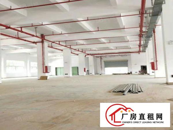  塘厦莲湖全新原房东厂房1000平方出租，可做电池仓库