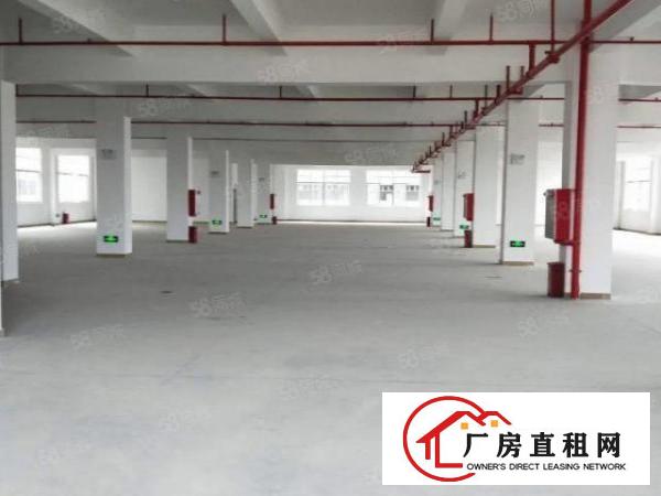  塘厦莲湖全新原房东厂房1000平方出租，可做电池仓库