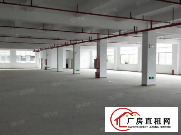  塘厦莲湖全新原房东厂房1000平方出租，可做电池仓库
