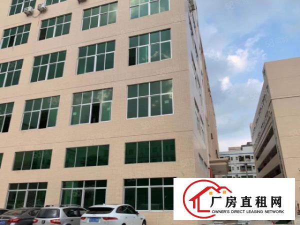  塘厦龙背岭新出三楼400平，公摊小，仅租15全包，价低手慢无