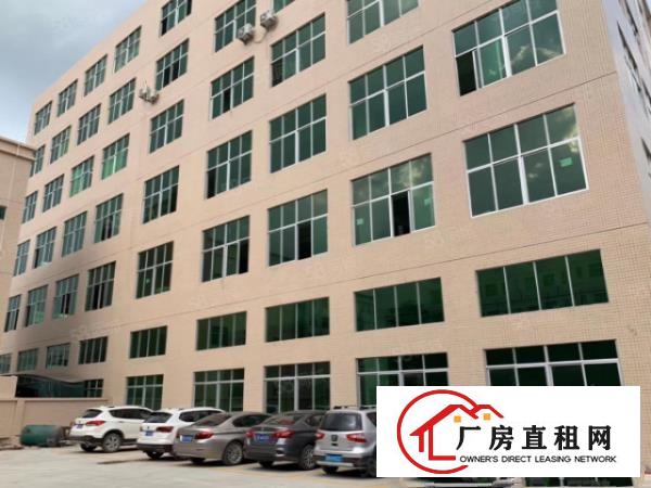 塘厦龙背岭新出三楼400平，公摊小，仅租15全包，价低手慢无