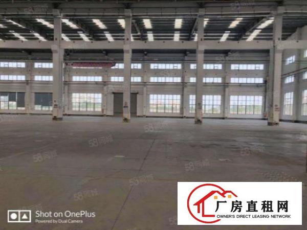  塘厦独院单一层钢结构厂房3000平方米带超大空地出租可分租