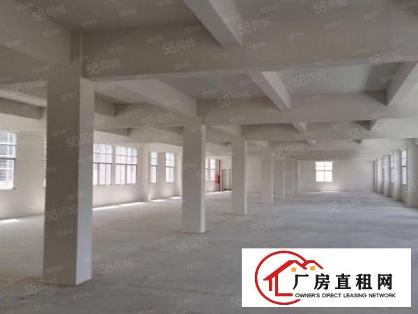  塘厦龙背岭标准900平厂房招租无公摊使用率大价格美丽