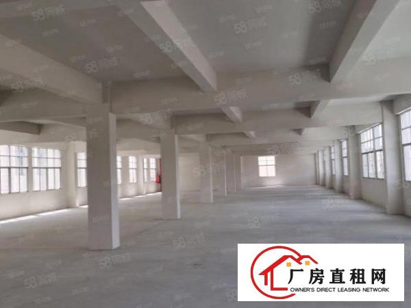  塘厦龙背岭标准900平厂房招租无公摊使用率大价格美丽