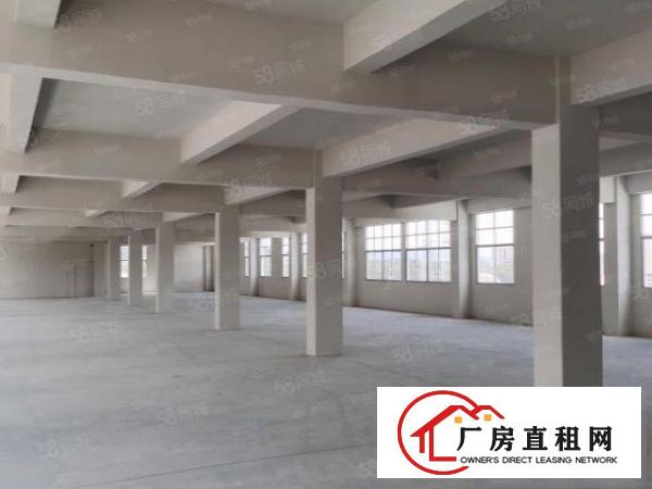  塘厦龙背岭标准900平厂房招租无公摊使用率大价格美丽