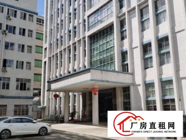  塘厦龙背岭标准900平厂房招租无公摊使用率大价格美丽