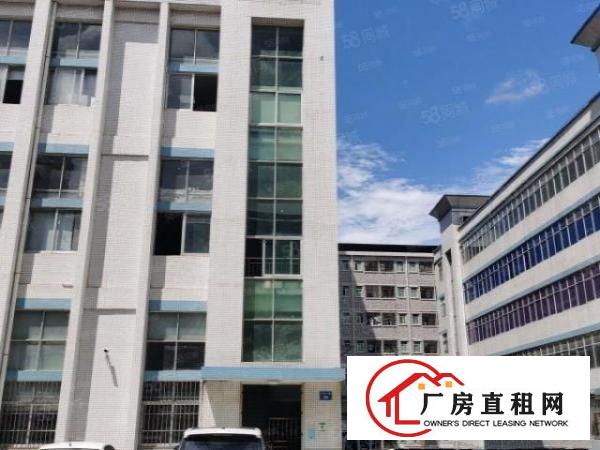 塘厦龙背岭标准900平厂房招租无公摊使用率大价格美丽