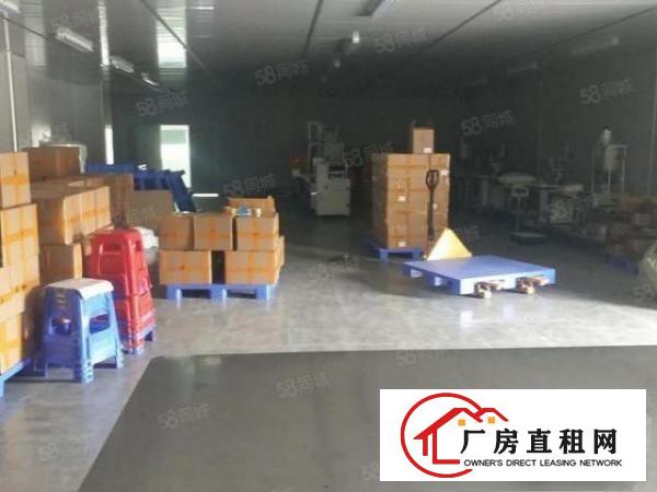  塘厦林村独院标准2楼650平方！千级无尘车间！实拍视频图片