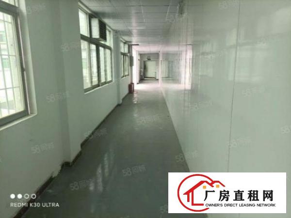  塘厦林村独院标准2楼650平方！千级无尘车间！实拍视频图片