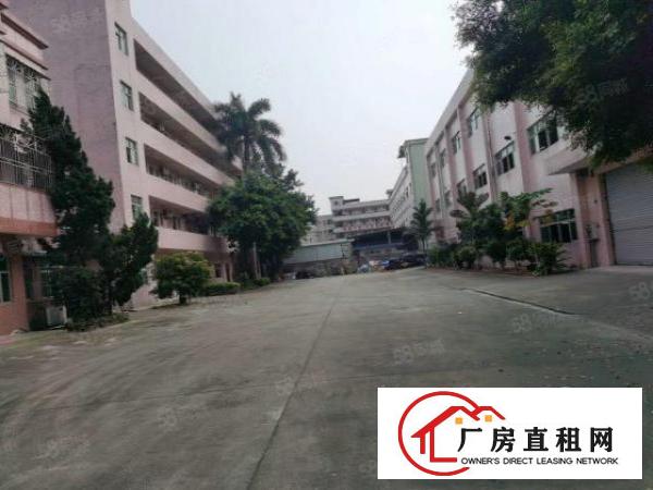  塘厦林村独院标准2楼650平方！千级无尘车间！实拍视频图片