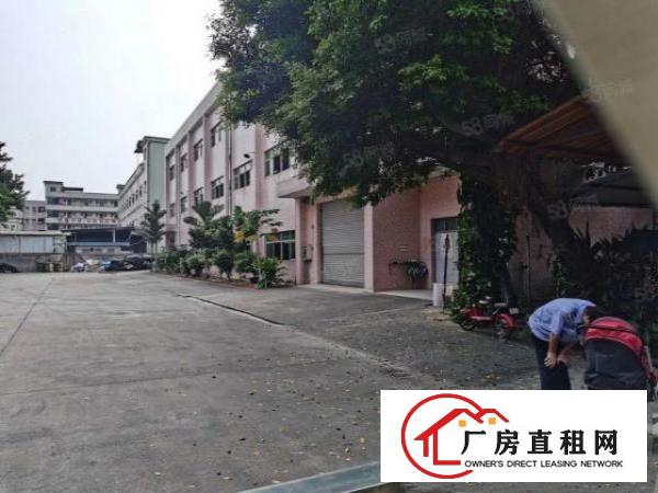  塘厦林村独院标准2楼650平方！千级无尘车间！实拍视频图片