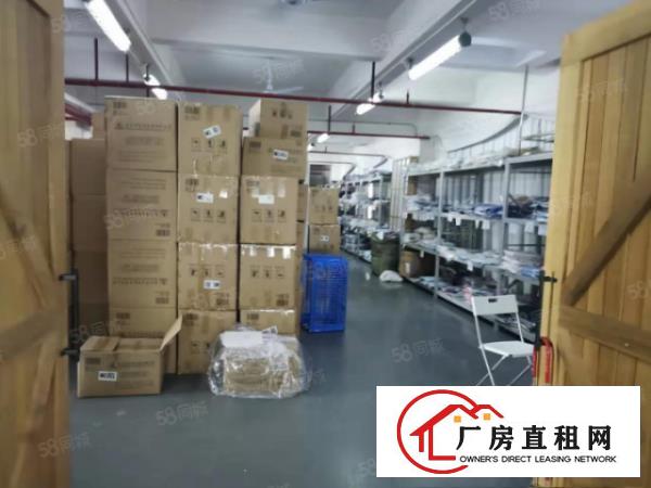  塘厦四村刚空出三楼标准厂房1250平，现成水电，原房东公摊小