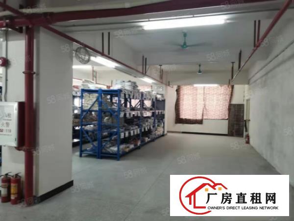  塘厦四村刚空出三楼标准厂房1250平，现成水电，原房东公摊小