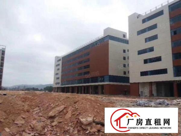  塘厦原房东，全新独门独院标准厂房，实际面积出租。