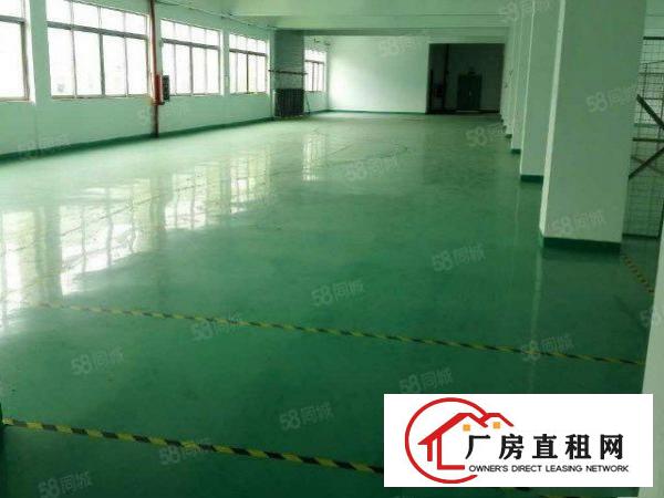  塘厦石潭埔原房东出租全新厂房楼上970平仅租16块无公摊