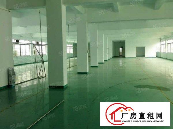 塘厦石潭埔原房东出租全新厂房楼上970平仅租16块无公摊