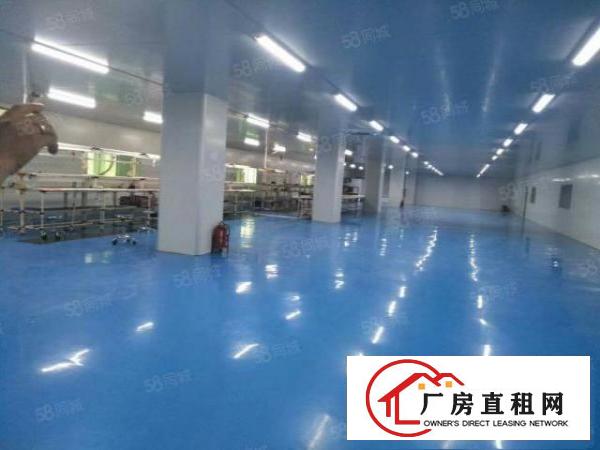  塘厦石鼓独院标准2楼3600平方！千级无尘车间！现场实拍图片