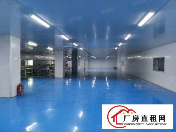  塘厦石鼓独院标准2楼3600平方！千级无尘车间！现场实拍图片
